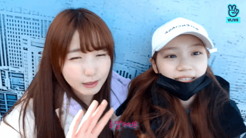 2.gif