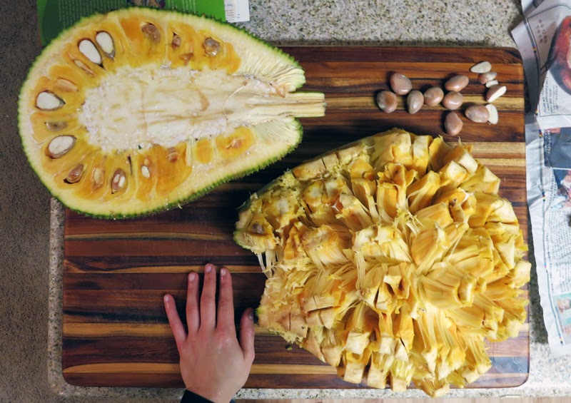 Jackfruit photo with Vegan Jackfruit Recipes