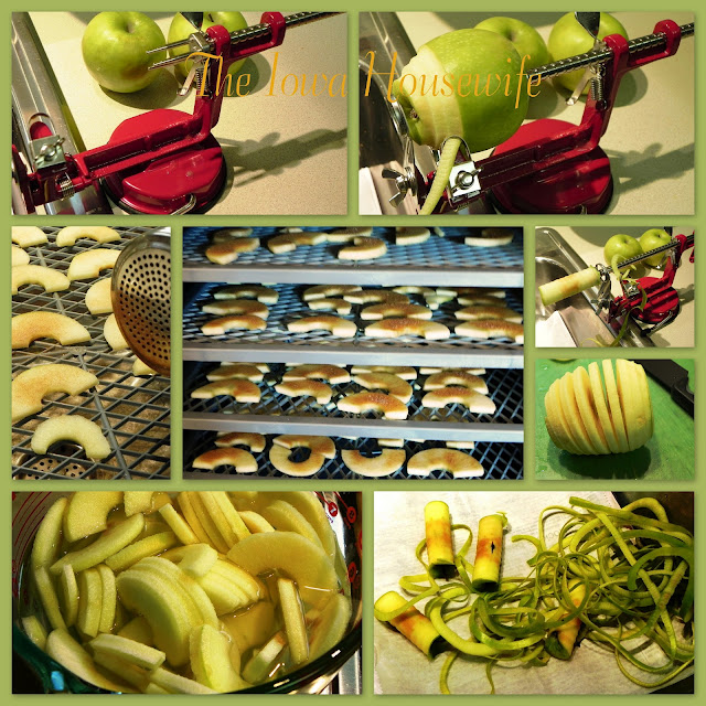 The Iowa Housewife Dried Apple Snacks