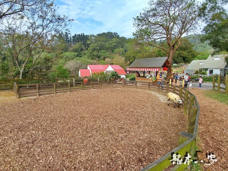 苗栗親子必訪|可愛鴨鴨大遊行、兔寶寶、黑山羊生態區~飛牛牧場有趣互動體驗