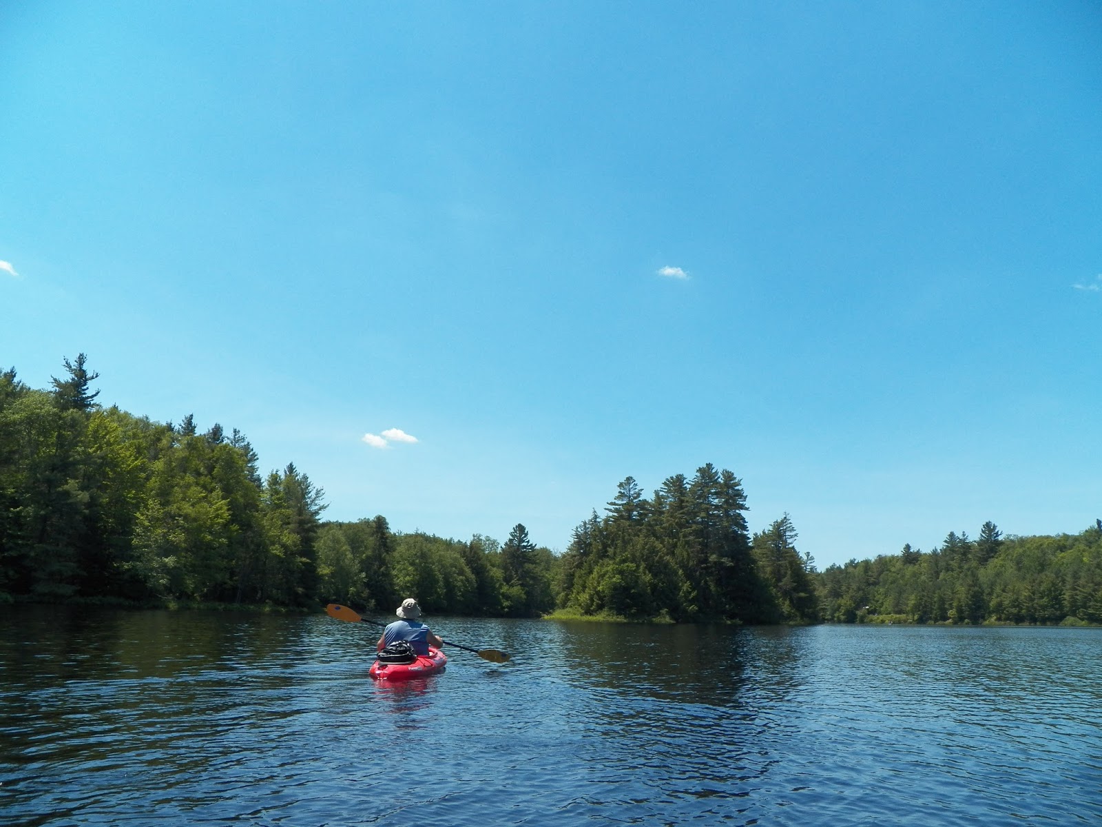 Quiet Kayaking in New York State Rollins and Floodwood Ponds, part 3