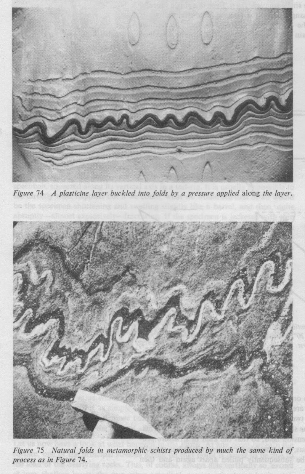 Aquinas Geology Crustal Shortening CW