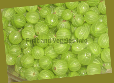 Gooseberries nutrition facts