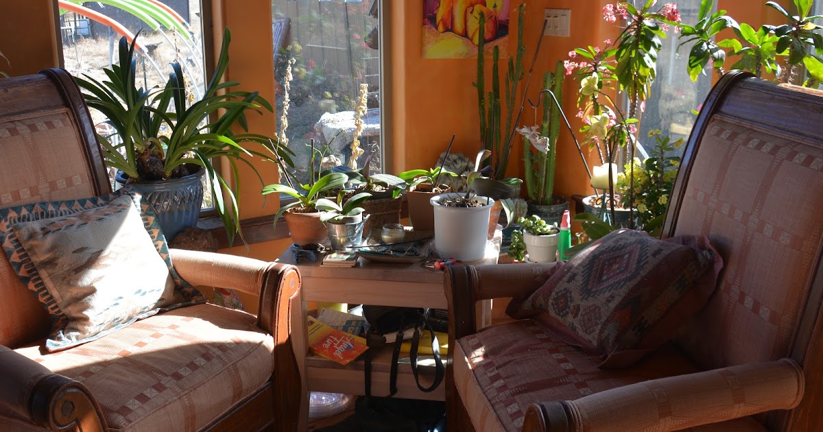 Greek Yogurt, Sourdough Bread, and Other Adventures