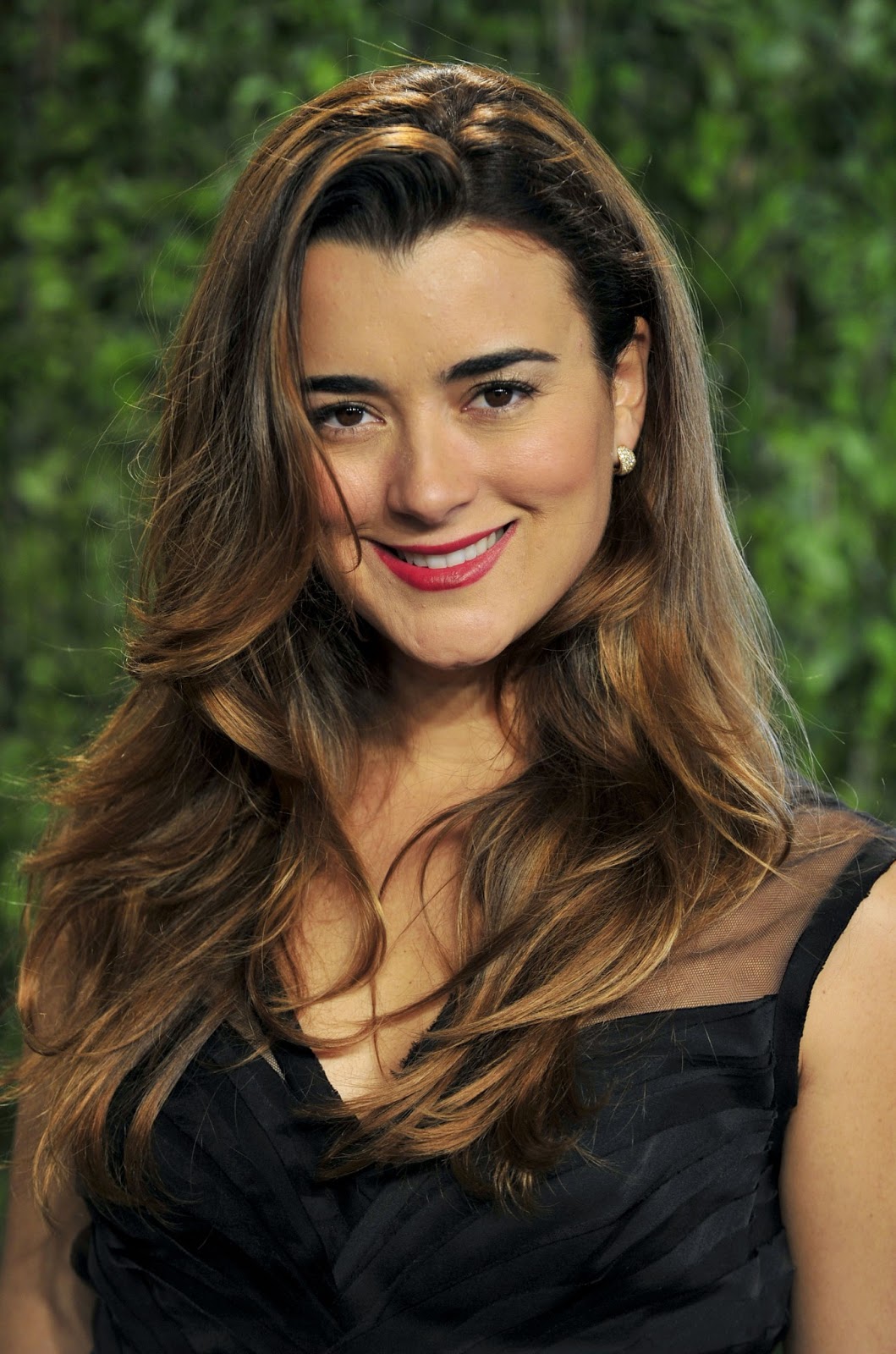 Cote de Pablo Photos Tv Series Posters and Cast