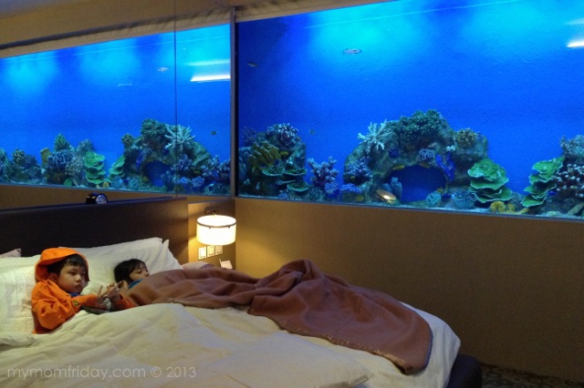 Can T Sleep In Hotel Room Can T Sleep In Hotel Room