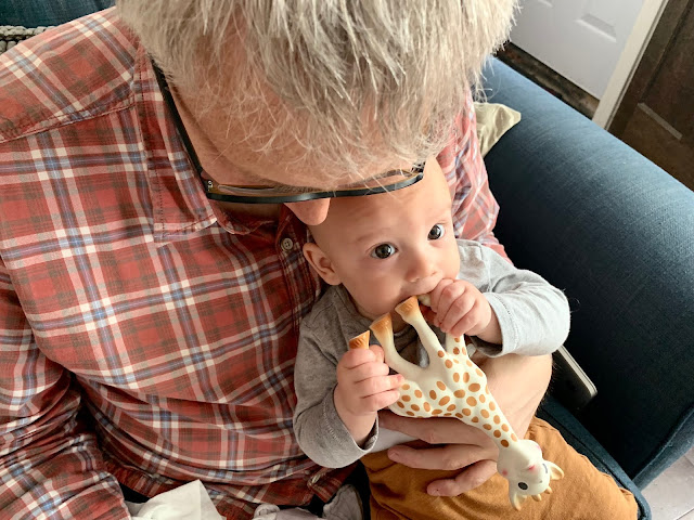 Baby Boy sitting on his Daddy chewing on Sophie Le Giraffe's leg