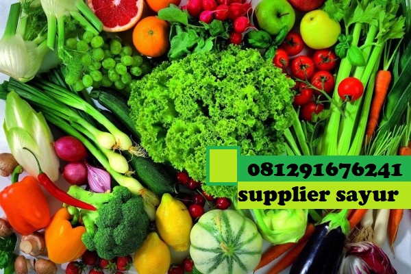 Malaya Supplier Malaya Supplier