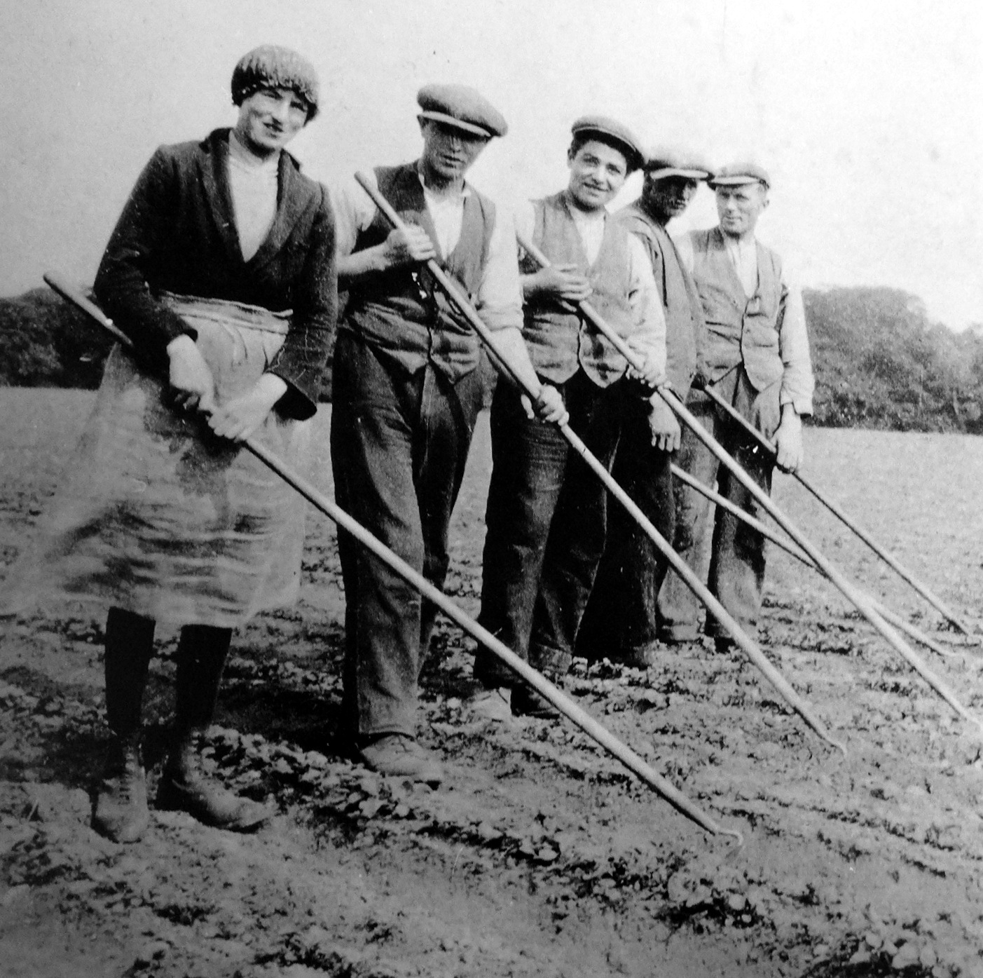 Tour Scotland Old Photograph Farm Workers Hoeing Turnips Perthshire
