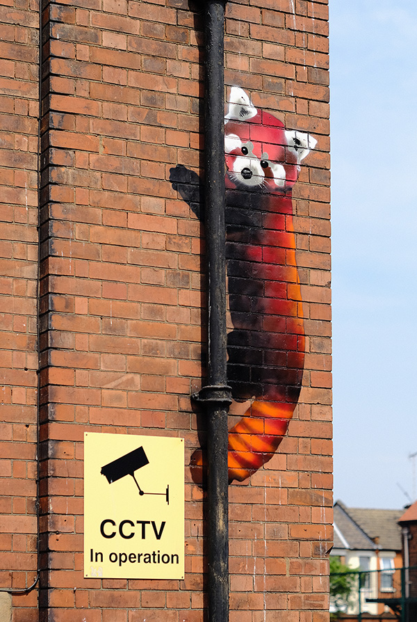 A endangered species street artwork placed in a London school by artists James Straffon