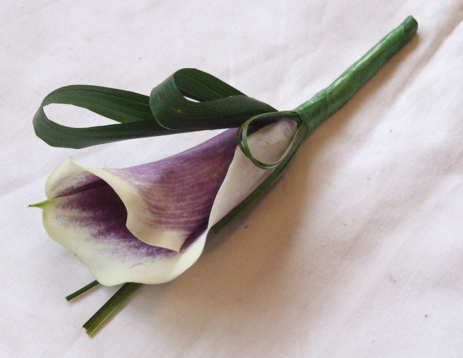 RJ's Florist: Calla lilies and Gerberas