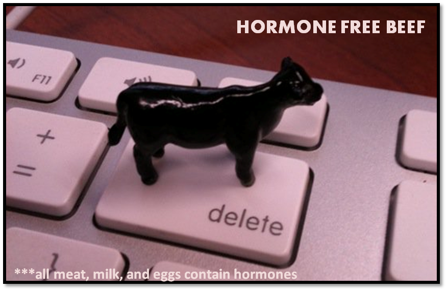 Mom at the Meat Counter What’s in a food label? Raised without hormones