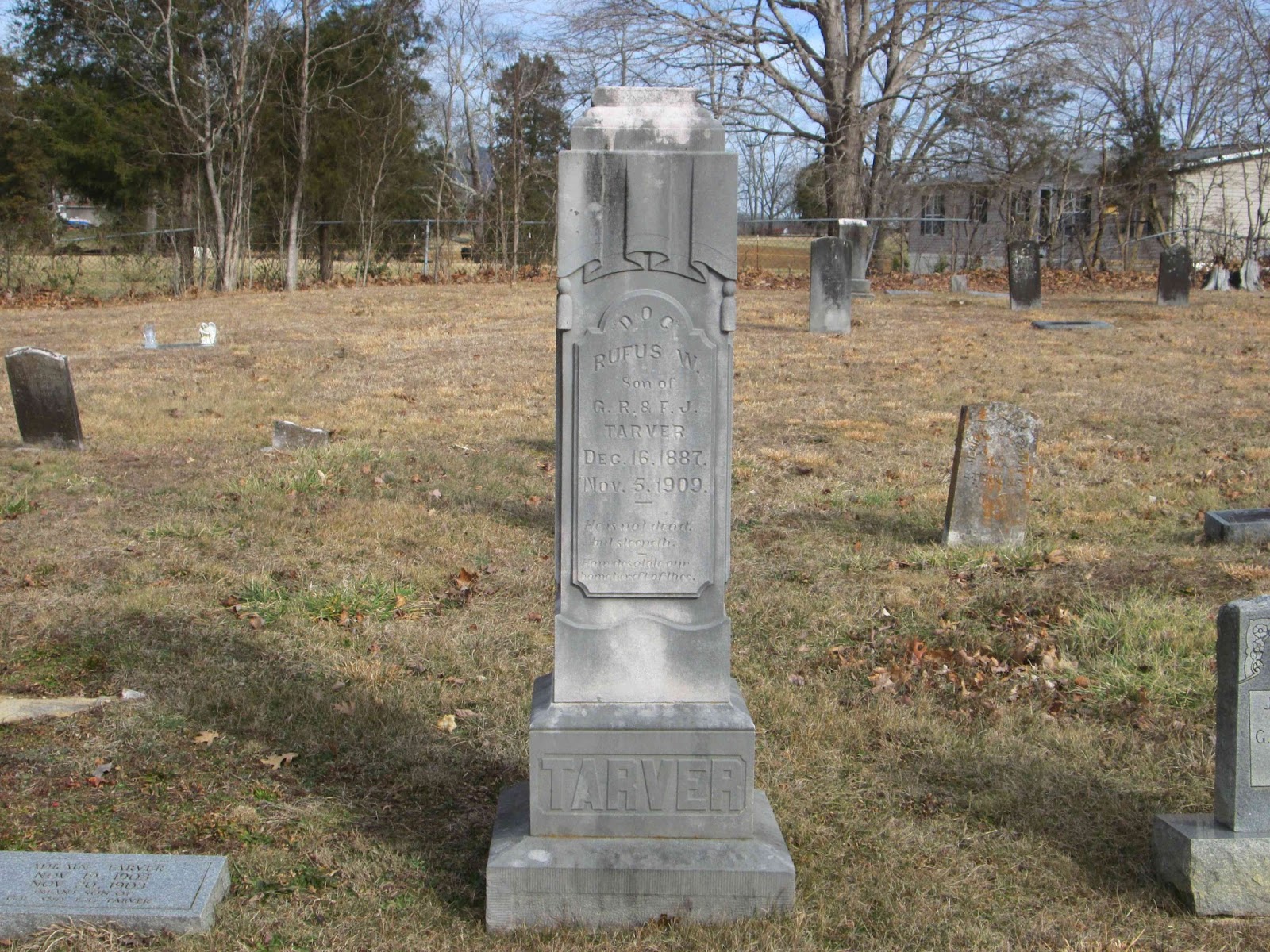 Cemetery Creeping Little Flat Creek