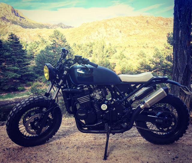 Triumph Tiger 900 By Nomade Cycles