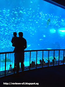 a w couple s blog