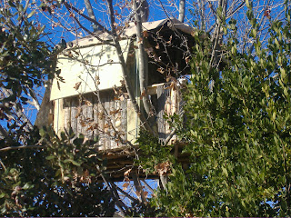 El huerto de Franjavio: Cabaña en el árbol