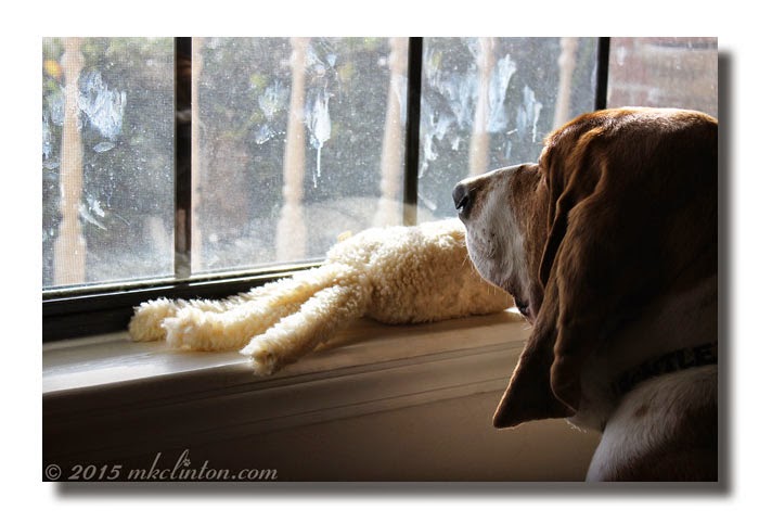 pogo plush slap happy