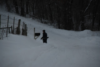 amish vogel crossings karen anna
