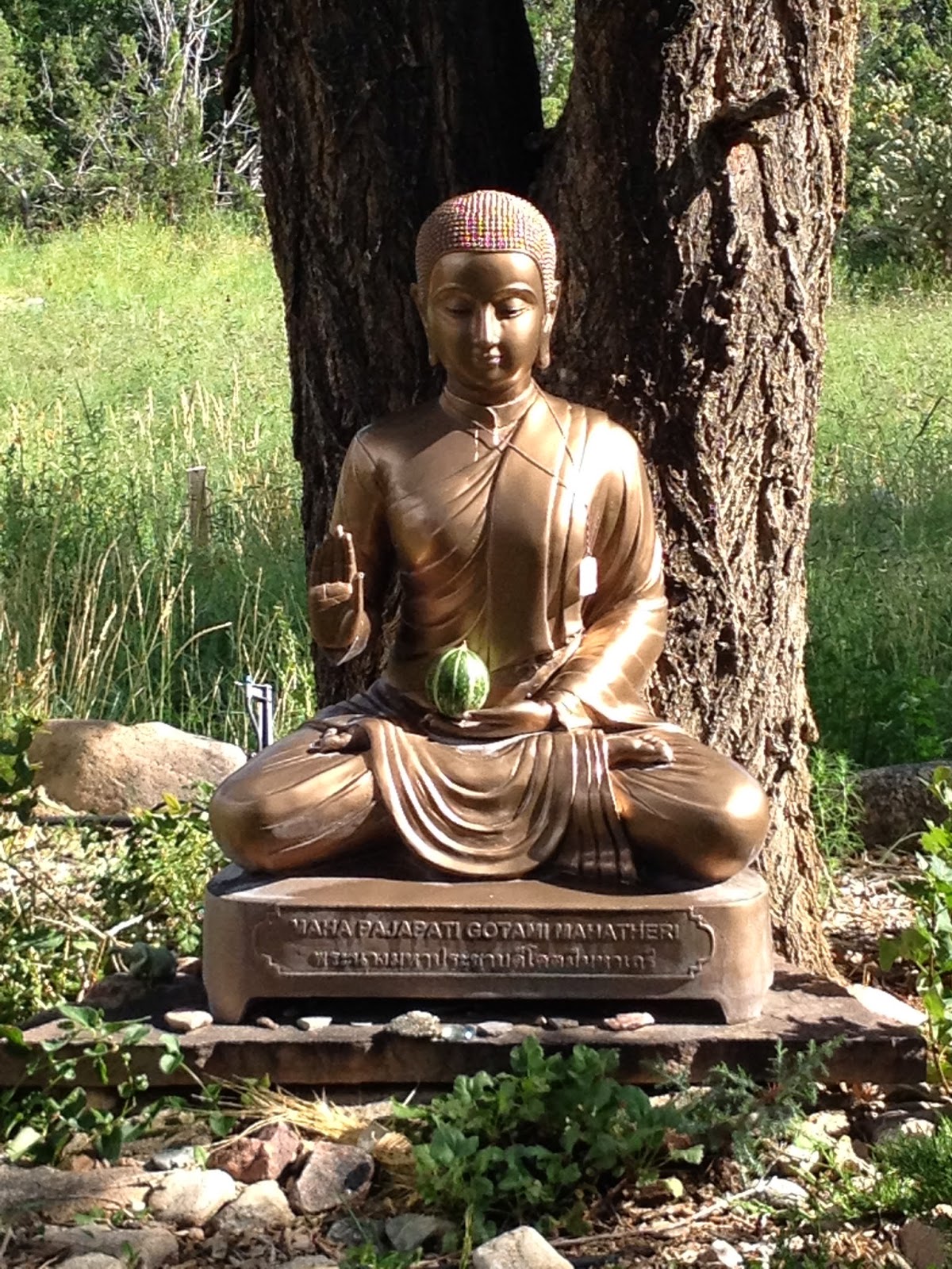 Saints Go Global Upaya Zen Center