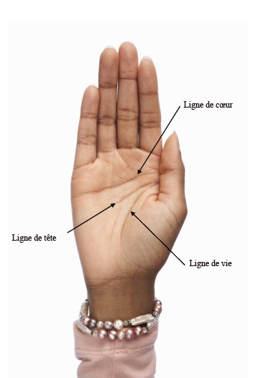 Signes et lignes de la main comment les lire