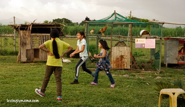 Happy Horse Farms Equestrian Center- Negros Occidental equestrian center - equestrian lessons - horse riding lessons - Talisay City - homeschooling - riding lessons for girls - Bacolod blogger - Bacolod mommy blogger - travel blogger - riding school