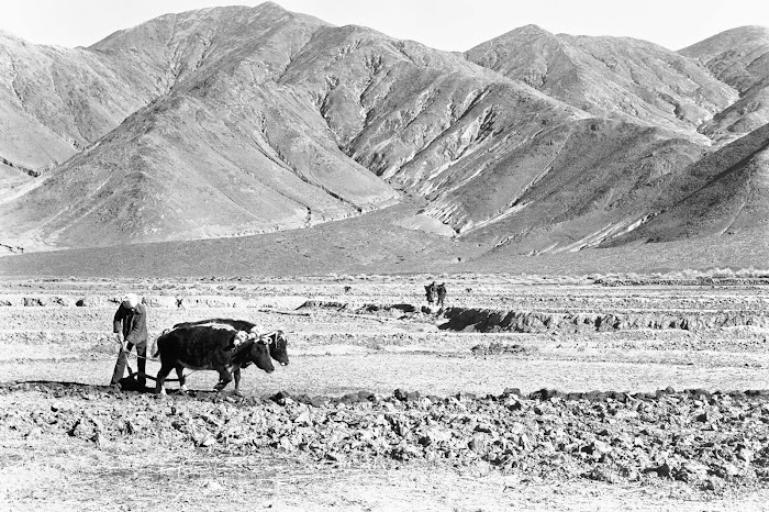 Tibet, Shalu, © L. Gigout, 1990