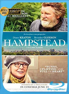 Una Cita en el Parque (2017) HD [1080p] Latino [GoogleDrive] SXGO