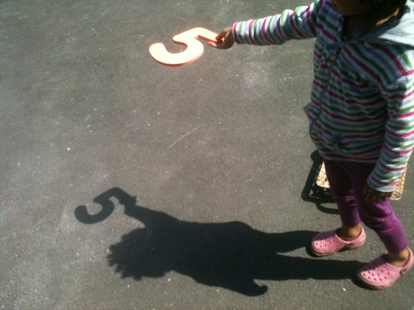 Homeschool Escapade: Shadow Science