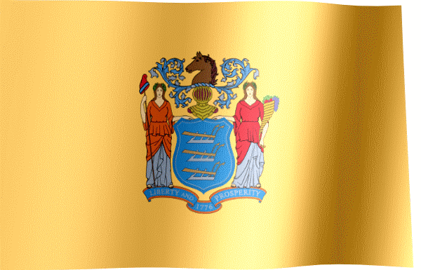 the flag of new jersey
