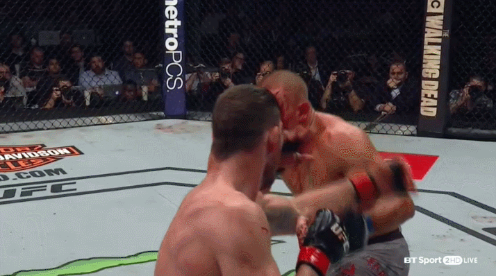 GSP%2BPunches%2BBisping.gif