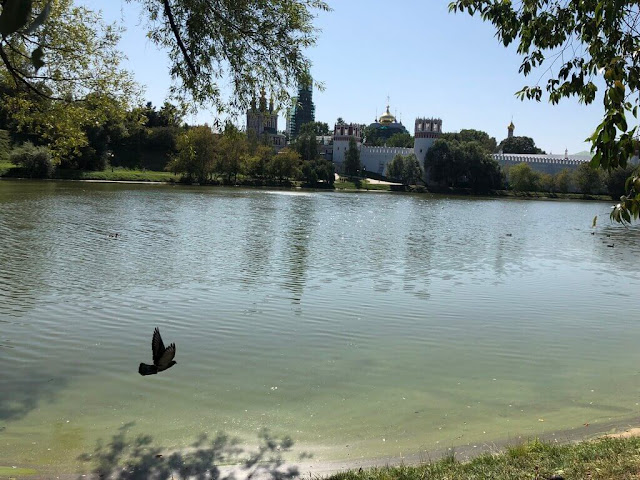 "Lago dos cisnes" no Parque Novodevichy - Moscovo