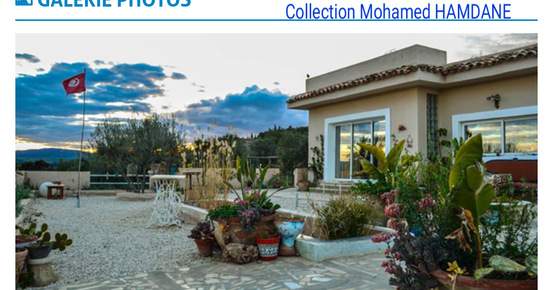 Code de la Route Gratuit Tunisie : Test gratuit