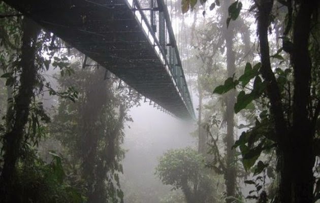 Montenegro Bridge, Costa Rica