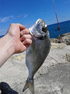 surfcasting valencia vicente sanchis surfcasting valencia vicente sanchis