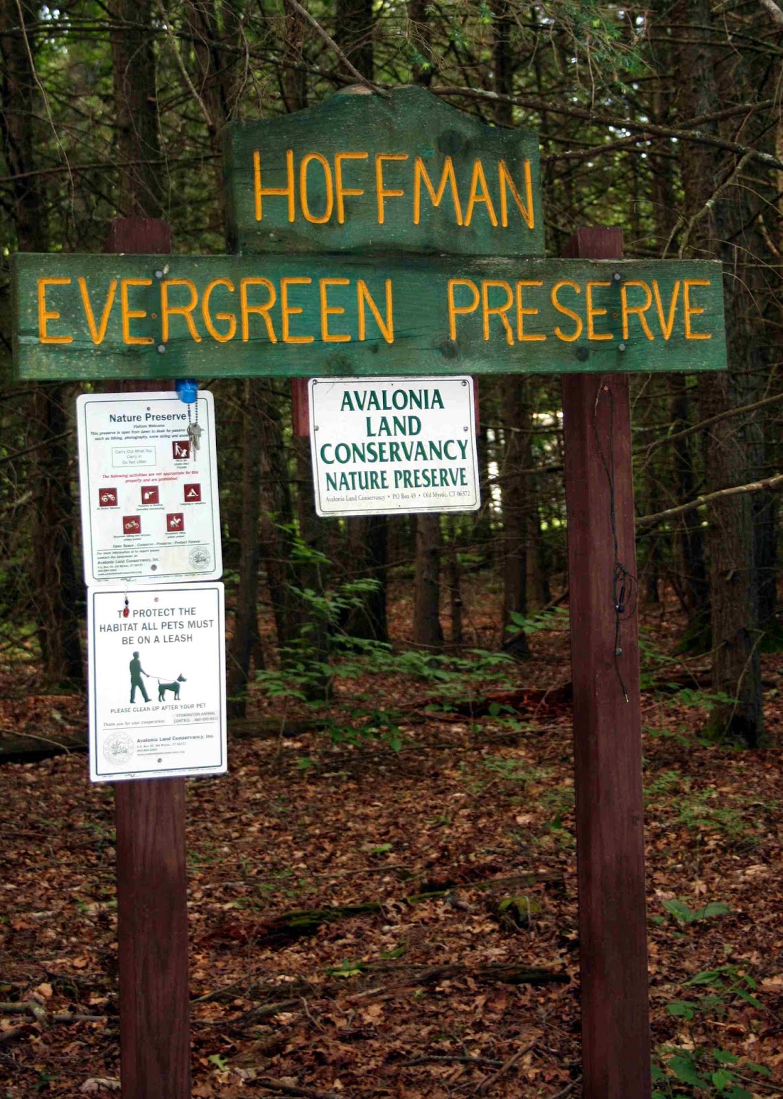 Avalonia eTrails Stewardship, management, and a walk in the woods at