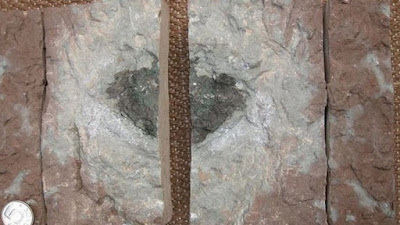 Ανακαλύφθηκε σε λατομείο μοναδικός μετεωρίτης που έπεσε πριν 470 εκατ. χρόνια στη Γη  