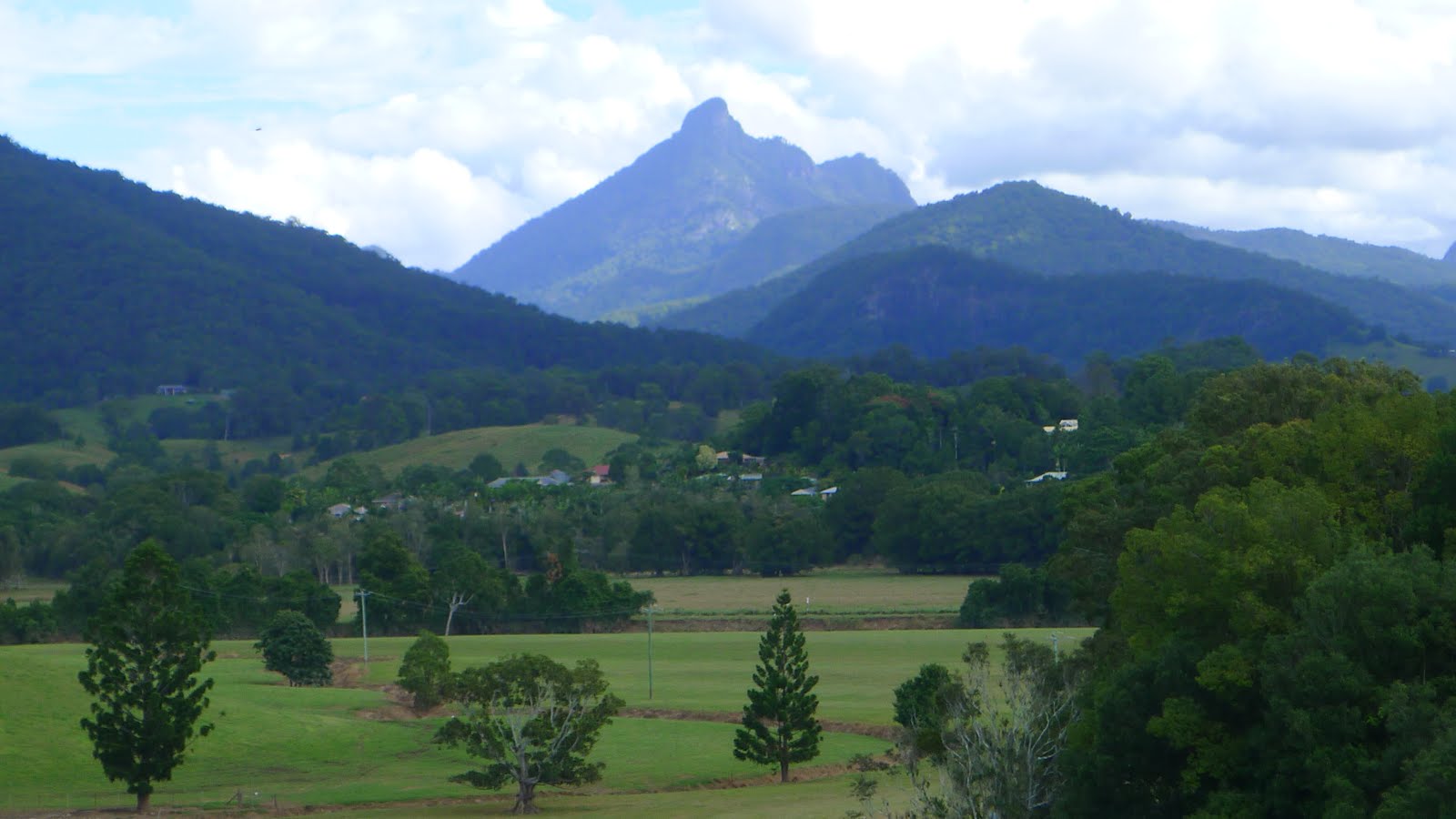 My everyday...or almost every day Sunday, visiting Murwillumbah