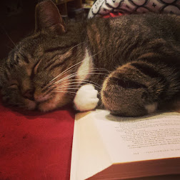 Literary Kat