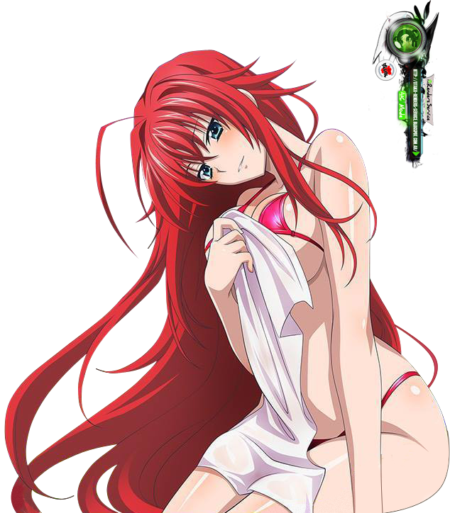 Highschool DxD:Rias Gremory Mega Sexy Bikini Onsen Render.