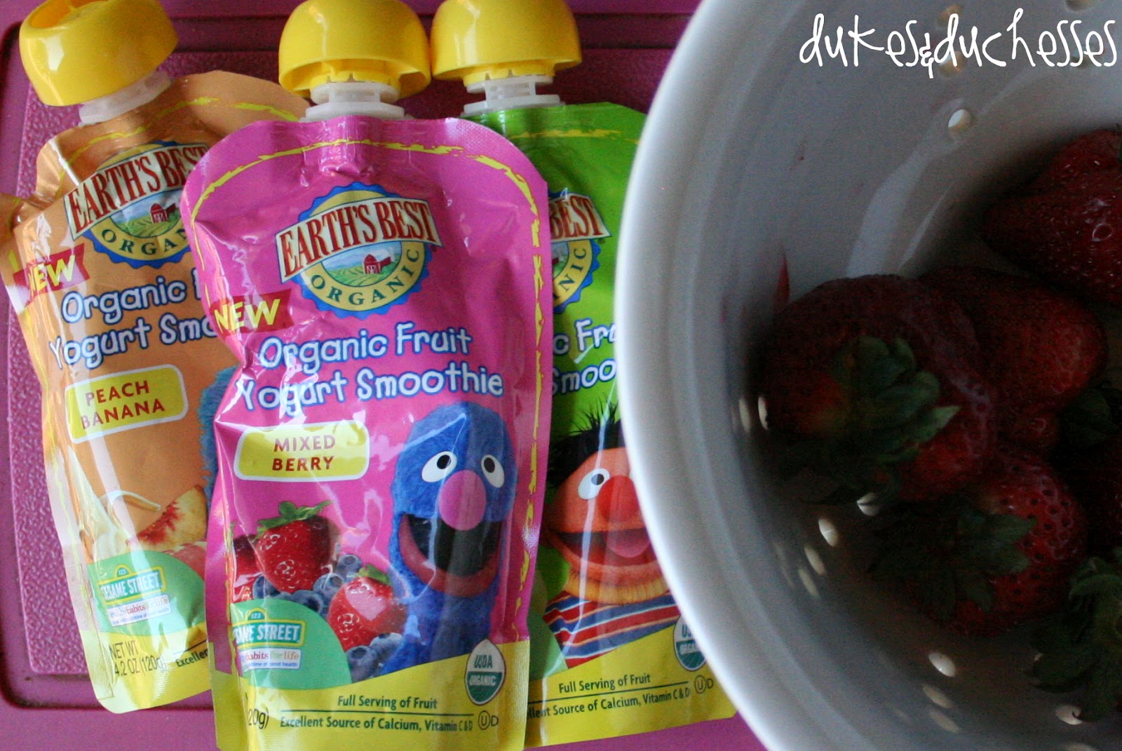 Earth's Best Yogurt Smoothie Popsicles Dukes and Duchesses