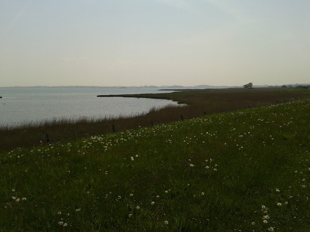 Uetersener Nachrichten Ausgabe Vom 21 05 2013 Vorschau