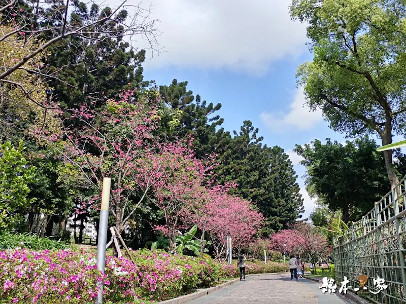 中正紀念堂櫻花花況3月拍攝|中正紀念堂賞櫻地圖|原生櫻花區-大漁櫻-山櫻花-重瓣緋寒櫻