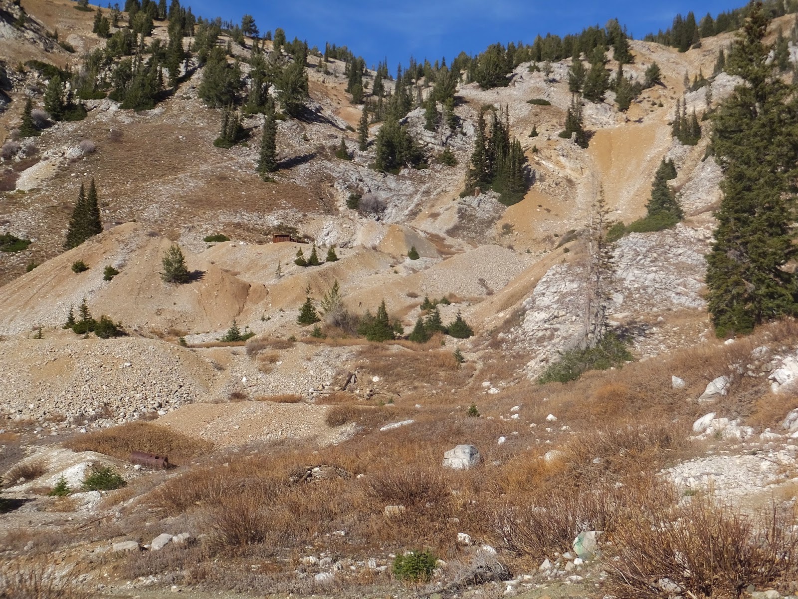 Crazy Hiker Chick Grizzly Gulch to Prince of Wales Mine