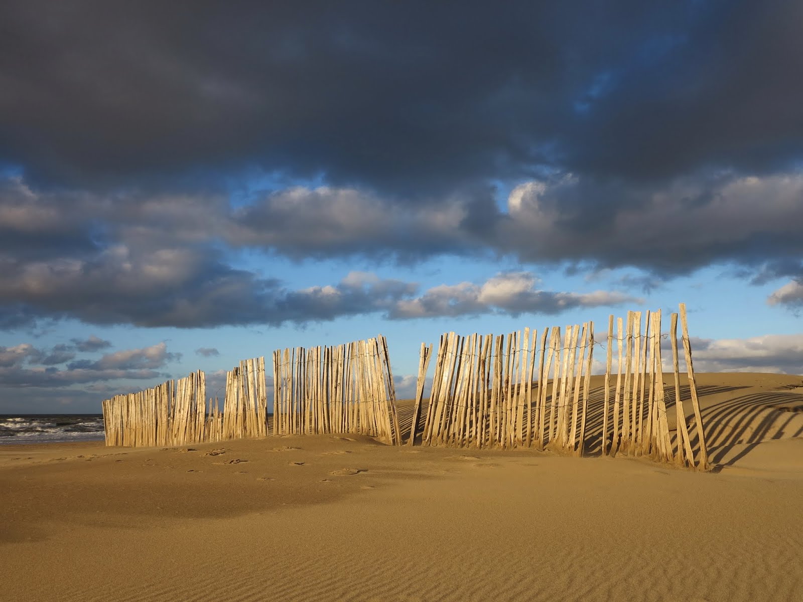 Beach fences