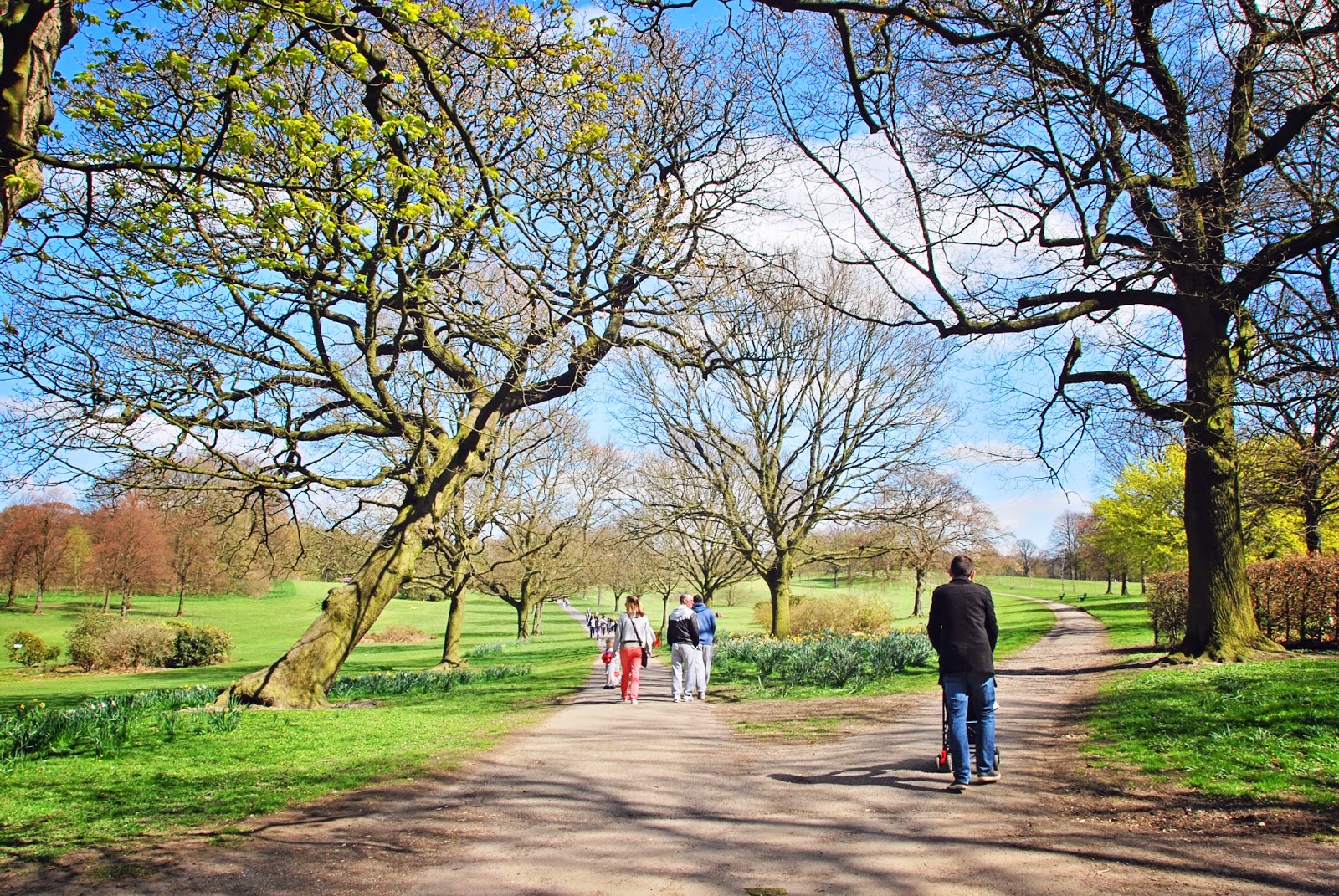 Sheffield Walks Graves Park The Travelling Kind
