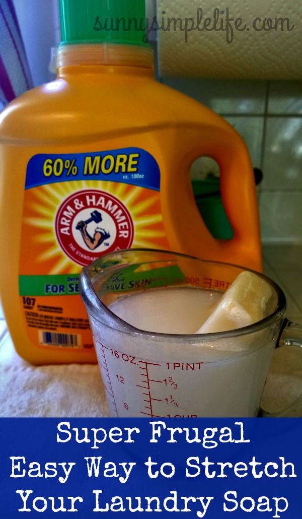 Sunny Simple Life How To Stretch Your Laundry Detergent To Save Money