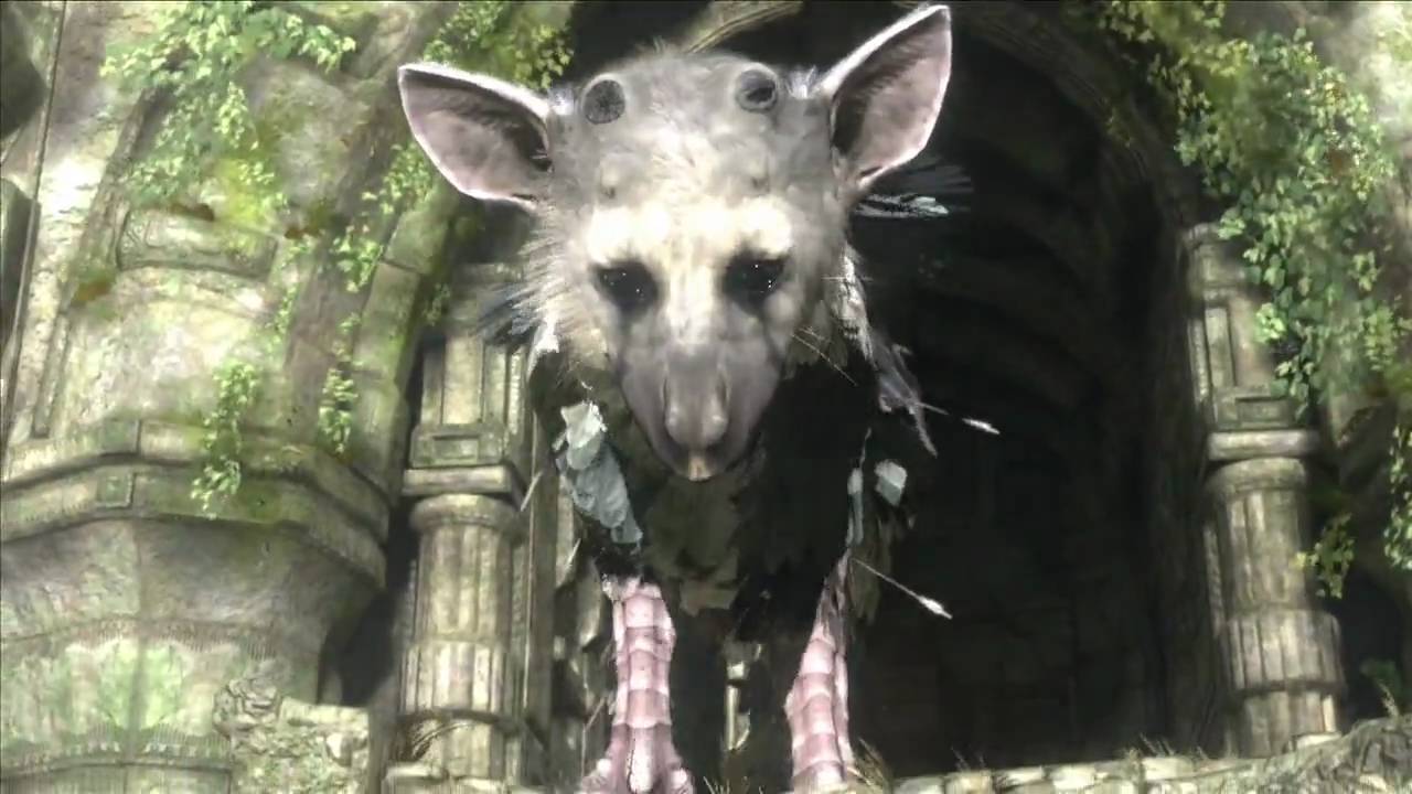 At Darren's World of Entertainment: The Last Guardian: PS4 Review