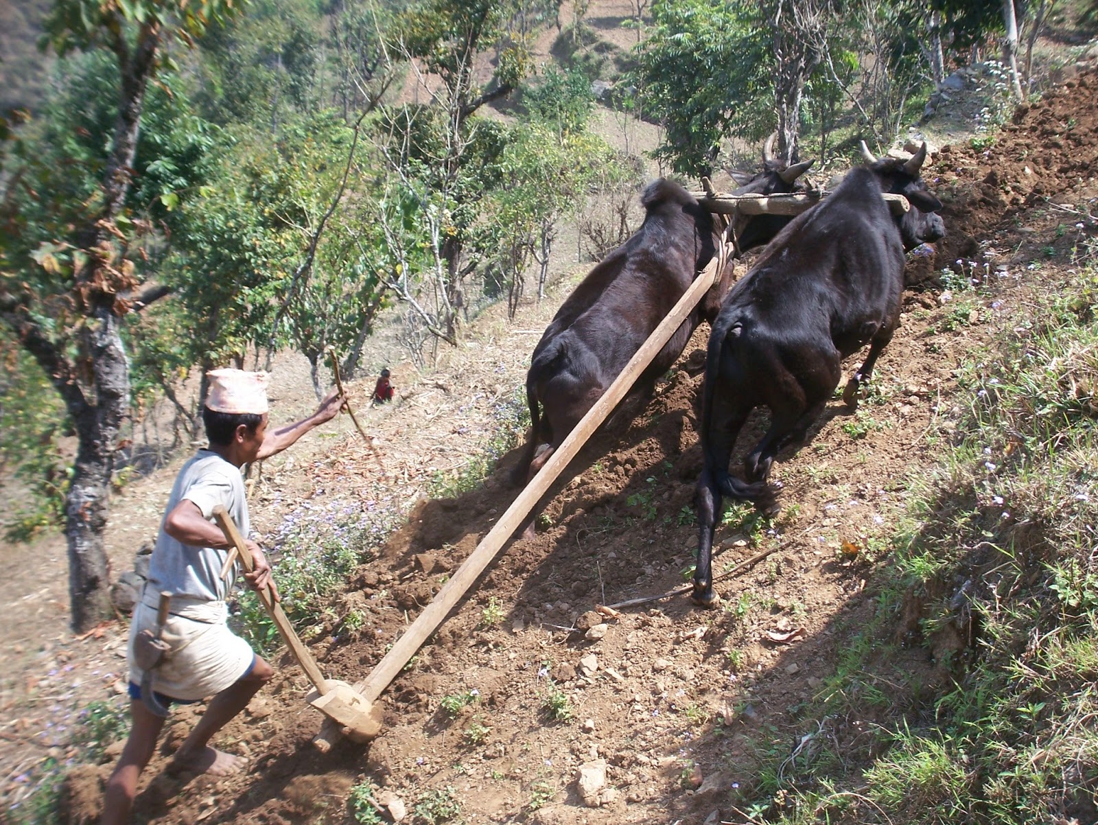 SHARE TWEET TELEGRAM WHATSAPP PIN IT SHARE