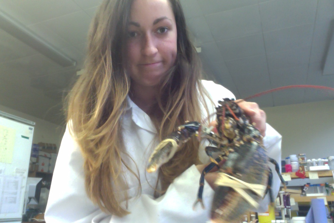 The Girl with the Lobster Tattoo The life and times of lobster girl...