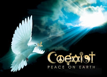 graphic for Diane's blog COEXIST